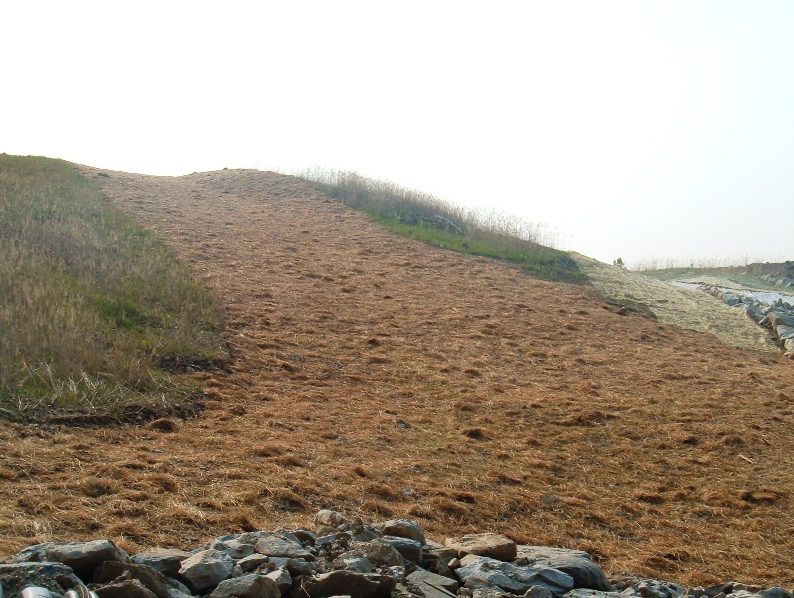 An example of mulch being used for erosion control