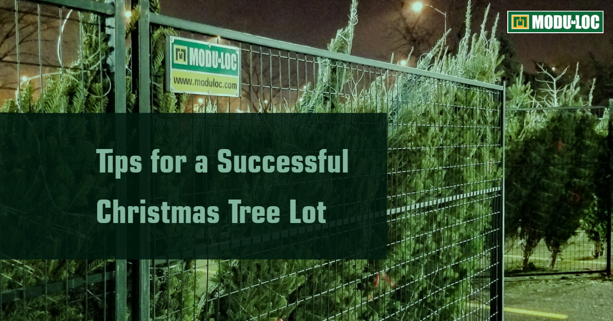 Tips for a Successful Christmas Tree Lot